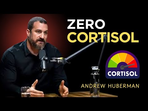 This Will Get You to 0% Visceral Fat in 30 Days (Drops Cortisol) | Andrew Huberman