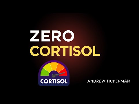 This Will Get You to 0% Visceral Fat in 30 Days (Drops Cortisol) | Andrew Huberman