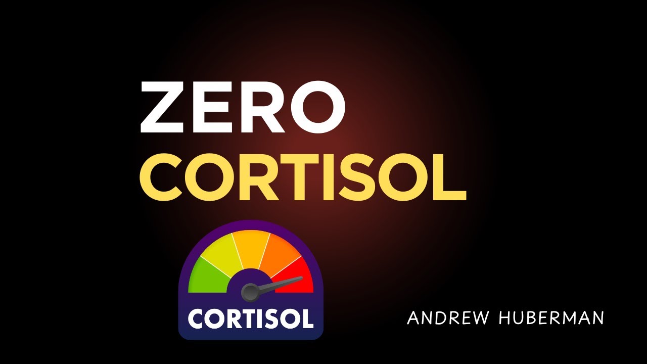 This Will Get You to 0% Visceral Fat in 30 Days (Drops Cortisol) | Andrew Huberman
