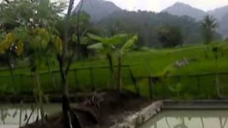 Download lagu angin bengi Hj. Itih.S mp3 Download lagu angin bengi Hj. Itih.S mp3