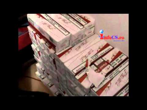 Traficant Tigari gasite la Campia