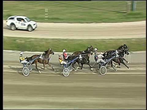 Trotto 25/06/2016 - 5° corsa