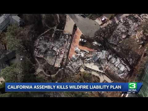 California Assembly kills wildfire liability plan