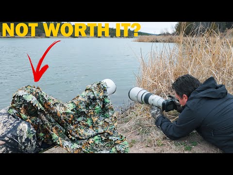 Wildlife Photography Q & A: Do you really need camo?