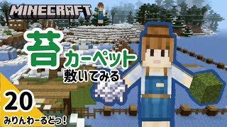 # 20 雪対策を考えたりする【マイクラ記録動画】【Minecraft】ほぼ編集なし