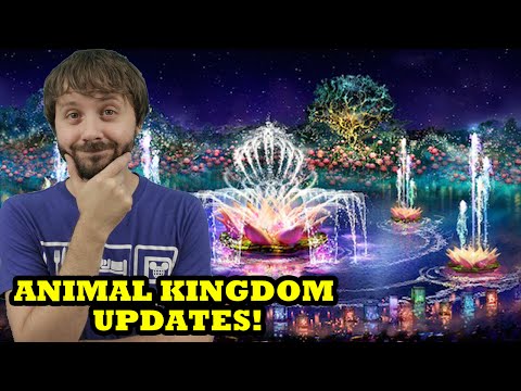 ANIMAL KINGDOM UPDATES, STAR WARS & MORE  - This Week In Disney # 11