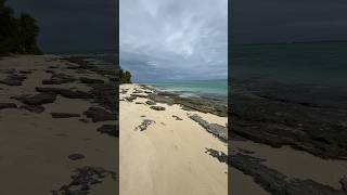 Mystery Island Walkabout - South Pacific Island, Vanuatu