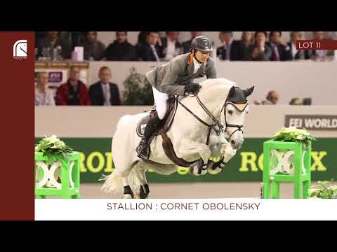 Lot 11 - Cornet Obolensky x Dame de la Pomme