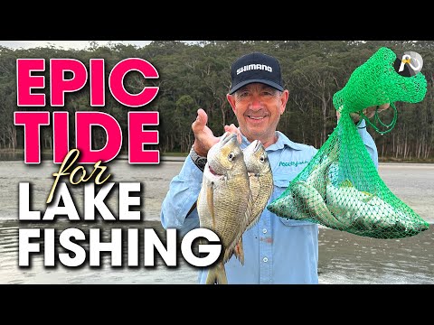 This DELICATE bait is DEADLY effective on Bream, Whiting & More!