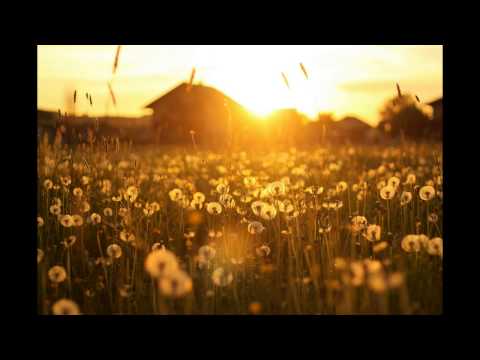 Lauku Muzikanti - To jau nezin neviens