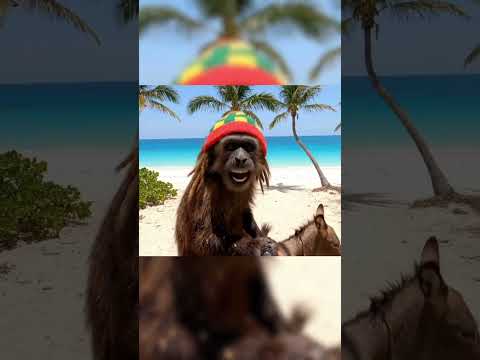 Running from the cartel on a donkey!🤙 #reels