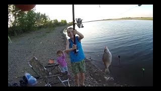 Клев рыбы на ириклинском водохранилище