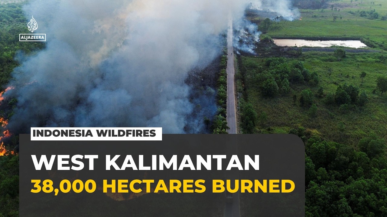 More than 38,000 hectares burned as wildfires spread across Indonesia