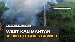 West Kalimantan wildfires burn 38,000 hectares as crews battle blazes near homes
