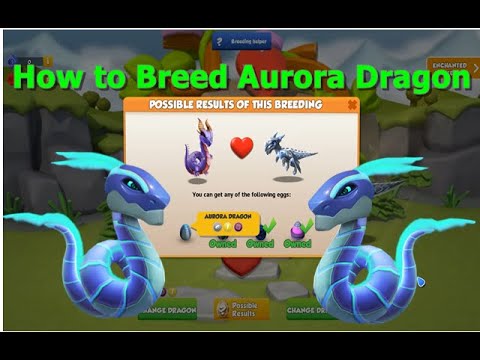 How to Breed Aurora Dragon-Dragon Mania legends | Aurora Dragon Breeding Guide |  DML