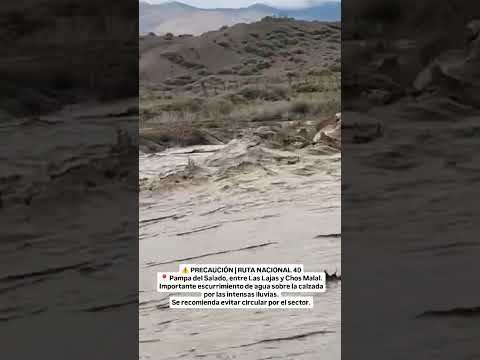Temporal en Neuquen RUTA 40