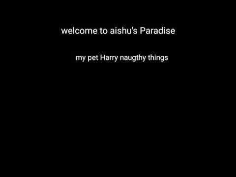 my little pet Harry's scared by a cat 🐈🐈