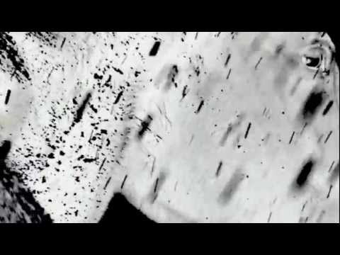 cheval noir sur fond blanc