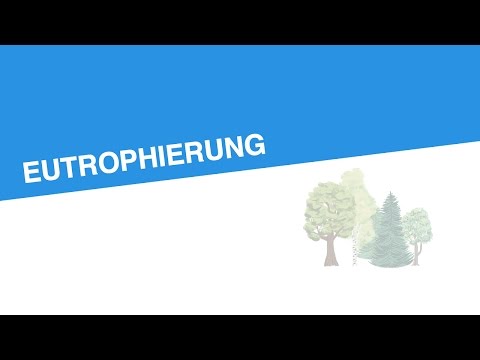 EUTROPHIERUNG | Biologie | Ökologie