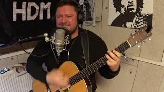 Lampshade - Kashmir - Cover by Stefan Kyndesen