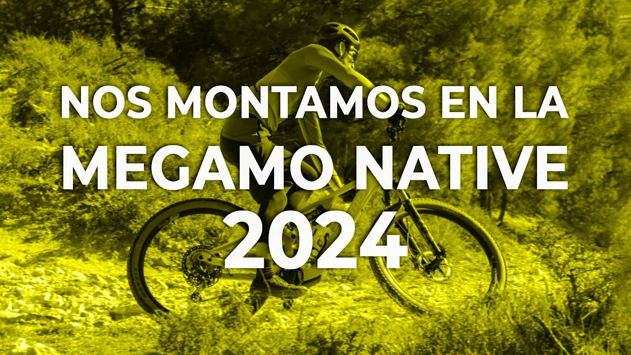 VTT électrique SL Carbone All-Mountain – Taille M (170–180 cm)