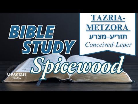 TAZRIA-METZORA STUDY