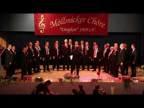 Männerchor Möllmicke - Waldgesang