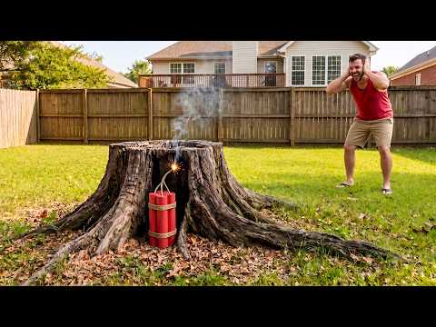 Pros Pulling Stumps vs Idiots Pulling Stumps: Skill And Extreme Fails Compilation #8