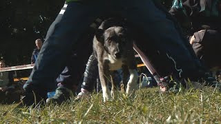 Ilyen volt a X. Szuper-eb Fesztivál