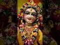 Radha Sahastra Naam Yatra Radha Radhekrishna Radheradhe Shorts Status Viral