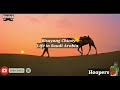 SPONGEBOB A FEW MOMENTS LATER Compilation No Copyright