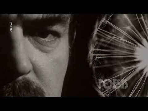 Poesis: Mircea Albulescu – Eu nu strivesc corola de minuni a lumii de Lucian Blaga (@Arhiva TVR)