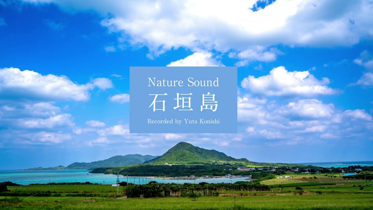 [Work BGM] Nature Sound Ishigaki Island | 2-Hour Relaxing Natural Sounds