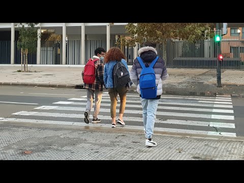 Spain, Valencia - Walking in Montolivet #271