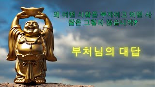 왜 어떤 사람은 가난하고 다른 사람은 부자인가요? | 부처님께서는 가난을 끝낼 수 있는 법을 말씀하셨습니다
