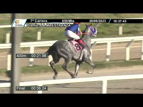 230826 c07 - TAPITO - HIPODROMO LAS PIEDRAS