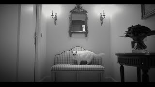 Le Bristol Paris - Official Movie