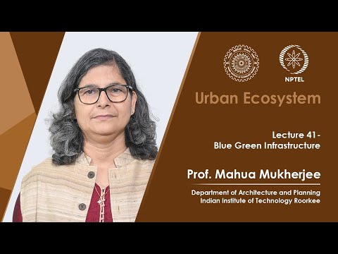 Lecture 41: Blue Green Infrastructure
