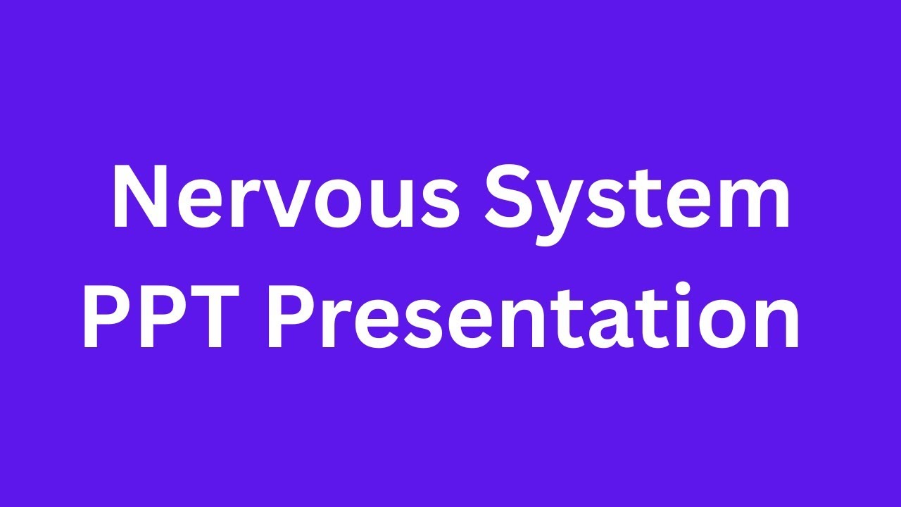 Nervous System PPT Presentation Seminar Free Download