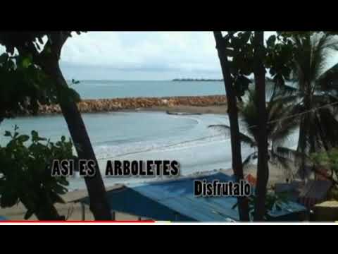 NO TE QUIERO VER LOS GUAPACHOSOS