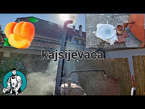 PECENJE NAJLEPSE RAKIJE !! ( KAJSIJA )