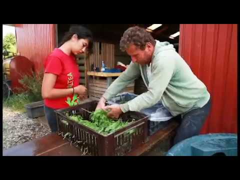 Yduns Have på Samsø