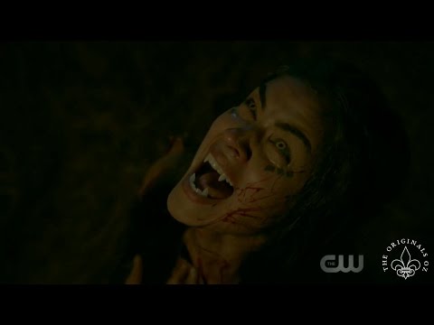 The Originals 4x08 The Hollow created the werewolf curse