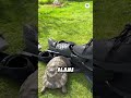 Kenapa Kura Kura Selalu Menyerang Benda Hitam