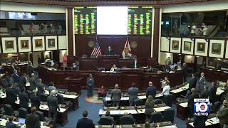 Florida politicians on both sides of aisle fighting new law that could force them from jobs