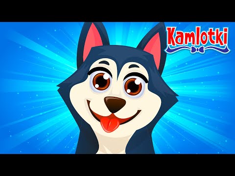 TO MÓJ PIES – Piosenka o piesku 🐶 Polskie piosenki dla dzieci | Kamlotki