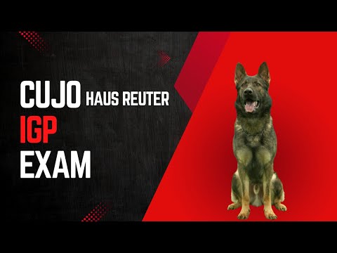 Sport Protection IGP