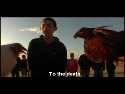 Tijuana Makes Me Happy