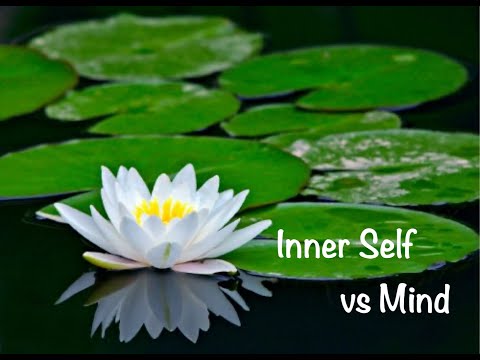Self vs Mind | Quotes from spiritual classic I am that | Self Awareness | Tobesimplybest |