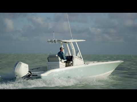 Boston Whaler 250 Dauntless video